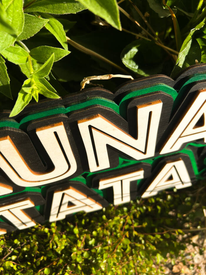 hakuna matata kunst