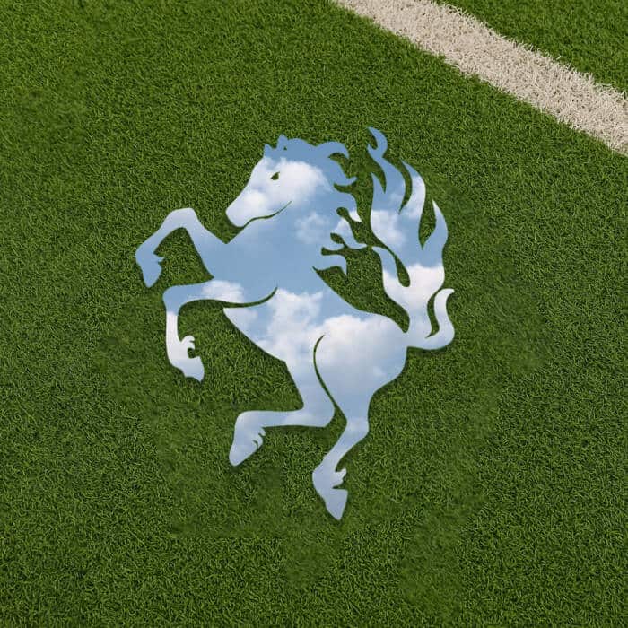 twente spiegel